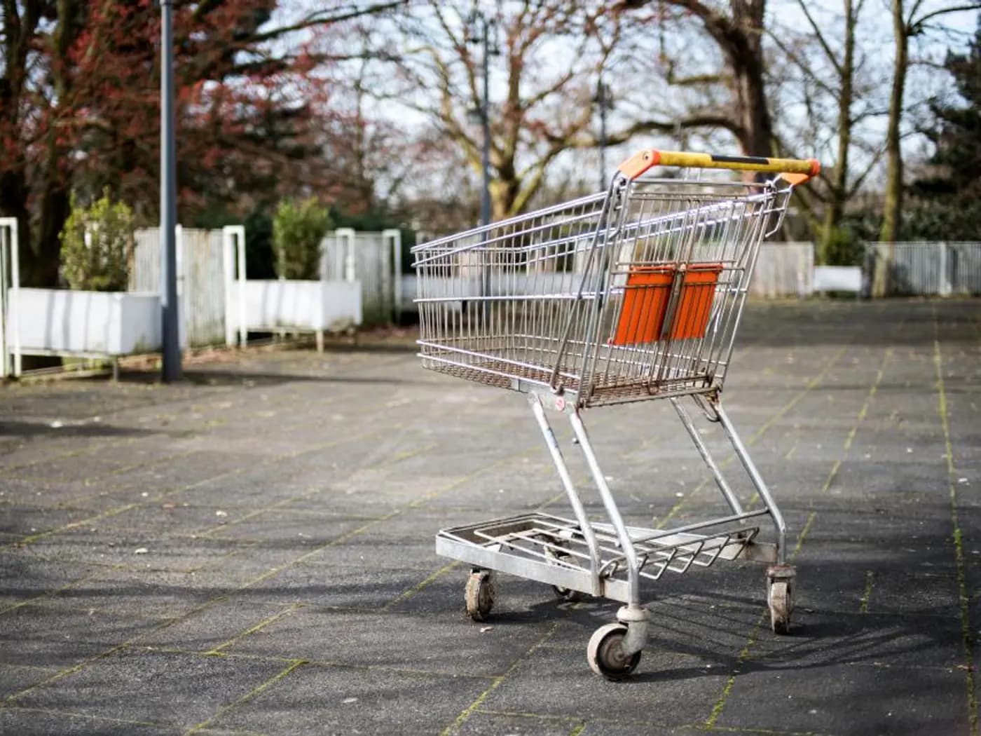 Fresh Mart Grocery