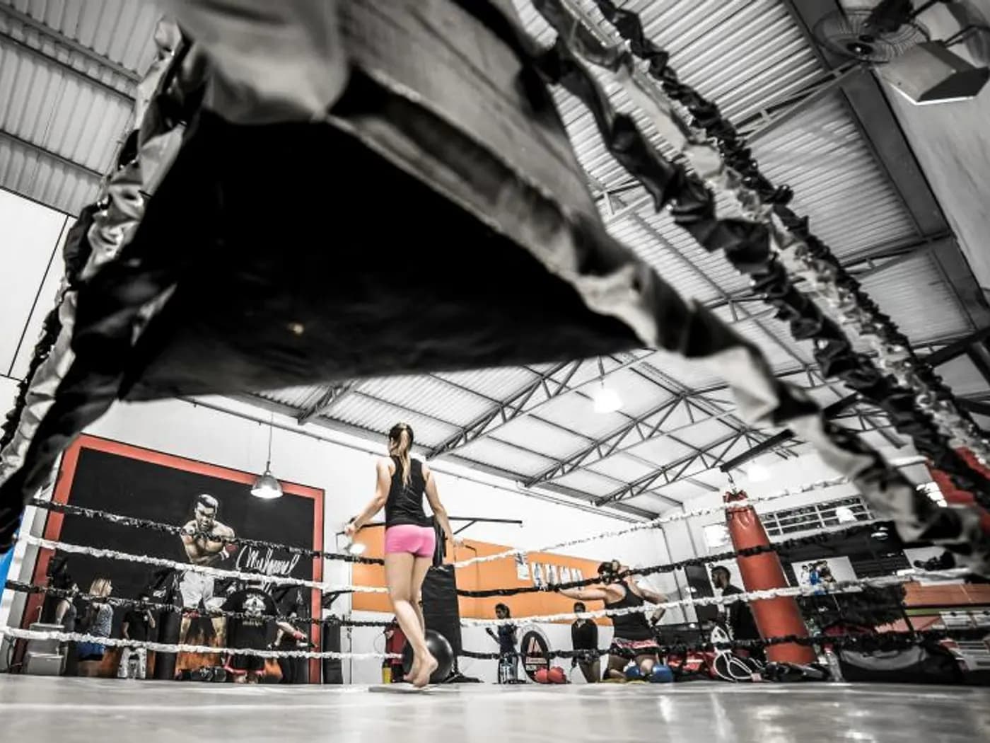 Iron Fitness Gym photo 4